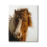 Sumn Industries Долга грива коњски портрет портрет кафеав животни, 20, дизајн од Данита Делимонт